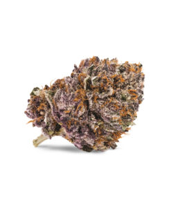 Pink Kush Strain