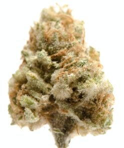 Banana Kush Strain