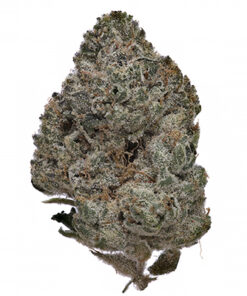 Juicy Wreck Kush