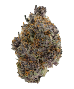 Tropicana Cookies