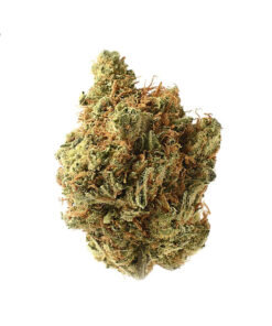 Amnesia Haze Strain