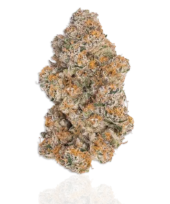 Durban Poison Strain