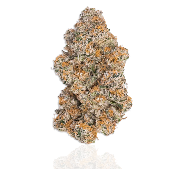 Durban Poison Strain