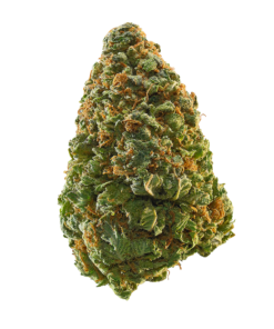 Green Crack Strain
