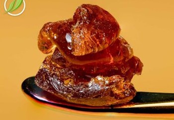 Lexikan CS T88% S 10161