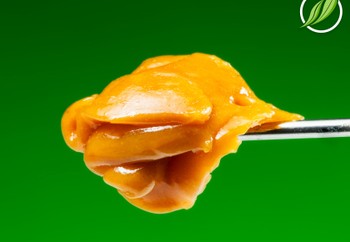 Rariden BD T87% I 9547