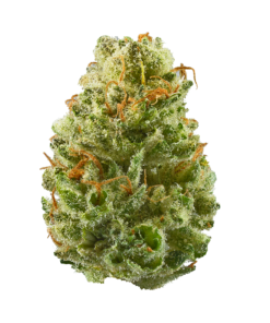 Strawberry Cough