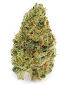 Super Silver Haze strain