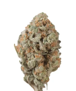 Tangie Kush Strain