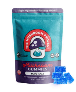The Mushroom Project Mushroom Gummies | (10ct) 6000mg