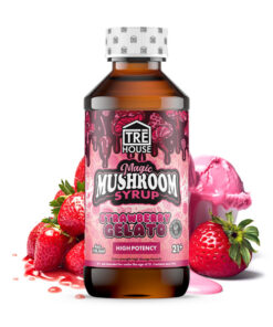 Tre House Magic Mushroom Syrup | (4oz) 1150mg