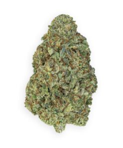 Gelonade Strain