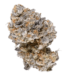 Alien Mints Strain