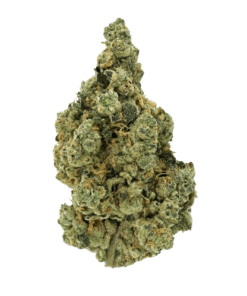 Donny Burger Strain