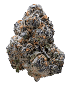 Bubblegum Runtz Strain