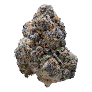 Bubblegum Runtz Strain