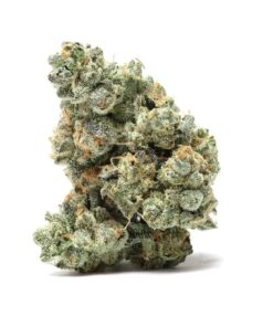 Italian Ice Strain