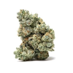 Italian Ice Strain