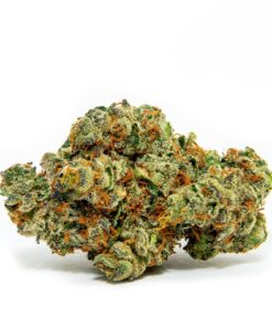 Forbidden Runtz Strain