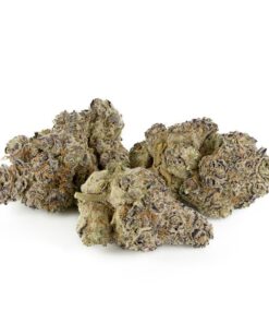 Biscotti Strain