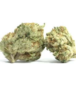 Gushers Strain