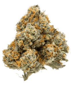 Zoap Strain