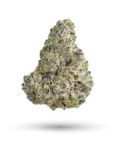 Gusher Mints Strain