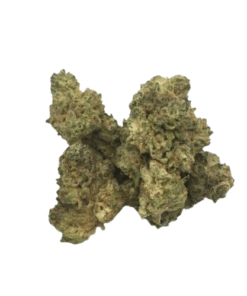 Garlic Mints Strain