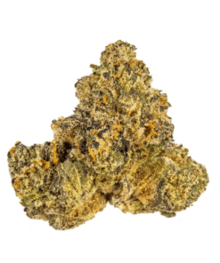Gelato 41 Strain