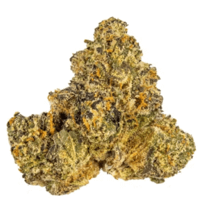 Gelato 41 Strain