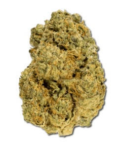 Black Cherry Gelato Strain