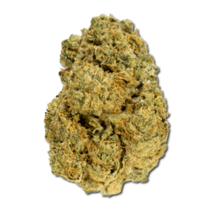 Black Cherry Gelato Strain