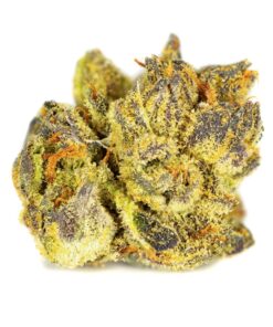 Jet Fuel Strain