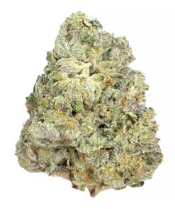 Animal Face Strain