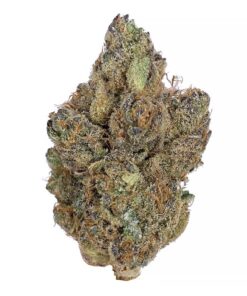 Tropical Runtz Strain