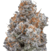 Mac 1 Strain