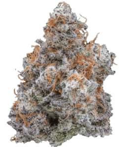 Mac 1 Strain