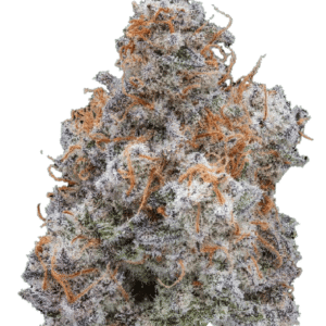 Mac 1 Strain
