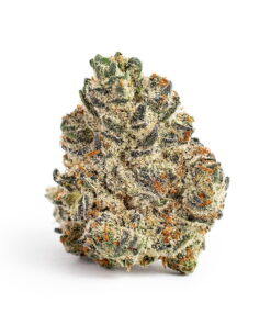 Oreoz Strain