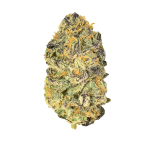 Pure Michigan Strain