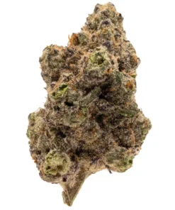 Purple Runtz Strain