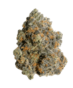 RS11 Strain