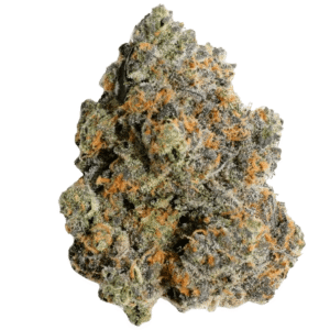 RS11 Strain