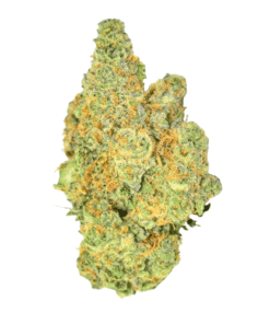 Rainbow Sherbet Strain