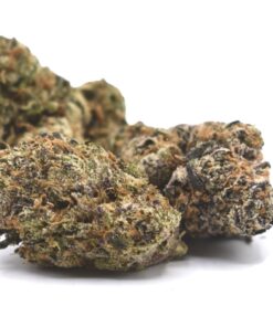 Super Runtz Strain