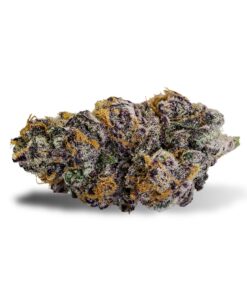 Purple Punch Strain