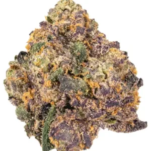 White cherry Gelato Strain