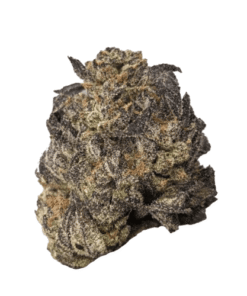 Animal Mints Strain