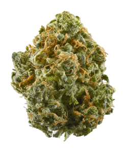 Blue Dream Strain