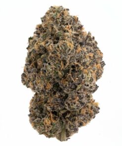 Runtz OG Strain